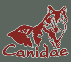 Canidae Hannover